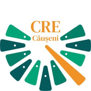 Instruirea și formarea în domeniu a membrilor Consiliului Regional al Elevilor